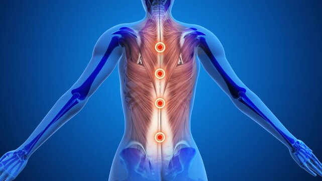Highlighted Acupressure Points for Back Relief