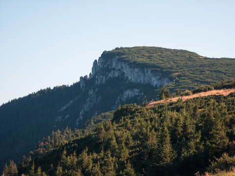 Rocky cliff ridge covered in alpine dwarf pine shrubland (Pinus mugo) and spruce forest illuminated by late afternoon sunlight on Ceahlău Massif, Romania.