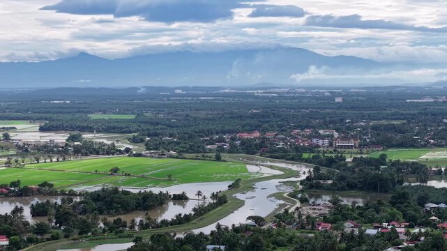 Aerial Labuh Banting Green Rice Fields And River