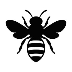 Fototapeta premium Honey bee top view silhouette vector illustration