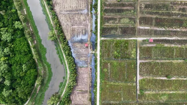 Overhead plantation plots with river bend and canals