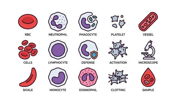 Illustrated blood components: cells, neutrophil, lymphocyte, platelet, microscope