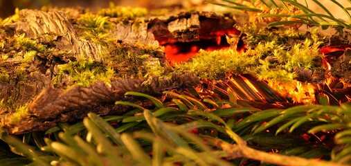 abstrakcyjna tekstura gorącej lawy i ognia pod ziemią © Mariusz