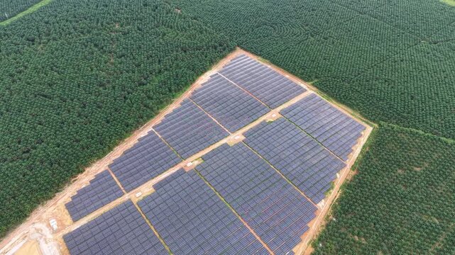 Aerial solar farm adjacent to oil palm plantation