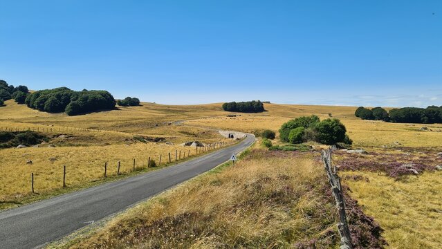 Paysage de l'Aubrac l'&eacute;t&eacute; quelque part vers le sud du plateau, pr&egrave;s des Clapas de la Tioule (Aubrac loz&eacute;rien)