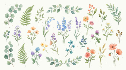 Fototapeta premium This elegant watercolor floral illustration set showcases beautifully detailed flowers and botanical elements arranged in natural garden compositions.