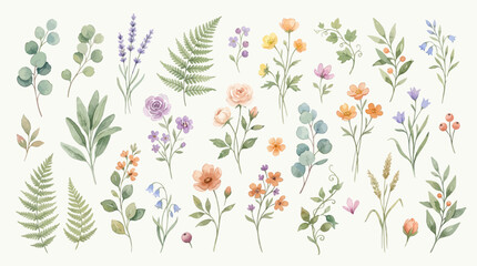 Fototapeta premium This elegant watercolor floral illustration set showcases beautifully detailed flowers and botanical elements arranged in natural garden compositions.