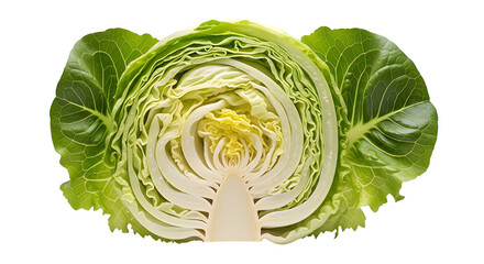 Obraz premium Fresh cabbage half isolated on transparent background a vibrant vegetable close up