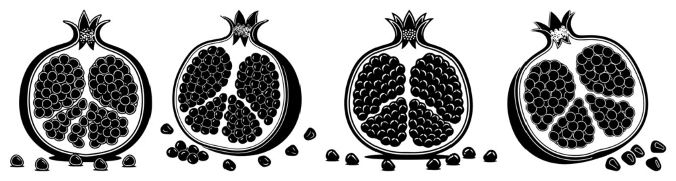 Pomegranate fruit halves showing internal seeds in detailed engraving style