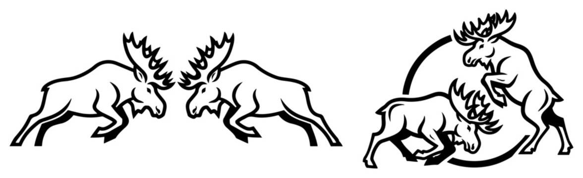 Moose fighting with clashing antlers in forest wildlife scene minimalist vector style