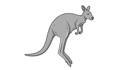 Gray kangaroo standing on hind legs with powerful tail. © Haroh