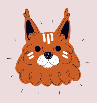 Cartoon vector illustration of Maine Coon cat face, cute feline portrait