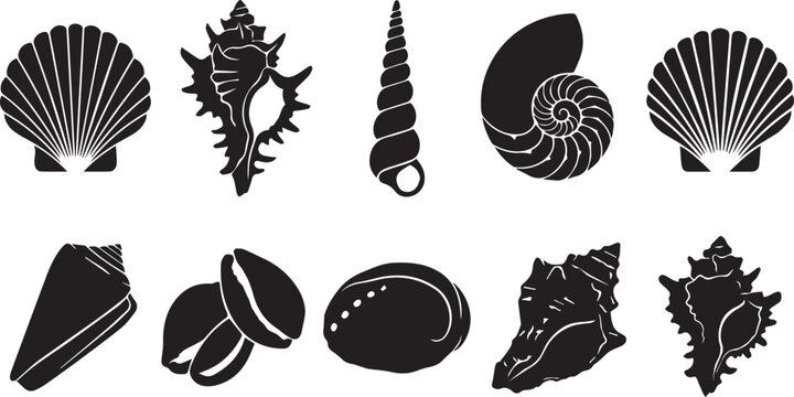 A captivating collection of distinct black silhouette vector icons showcasing various shapes and sizes of seashells, perfect for beach, ocean, and marine-themed designs and projects.