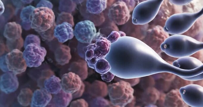 3D Microscopic Medical Animation of Sperm Cells Fertilizing an Egg