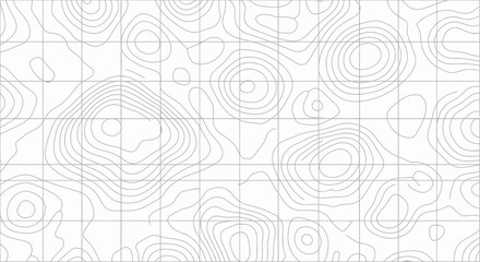Obraz premium Topographic Map Contour Lines Grid Background
