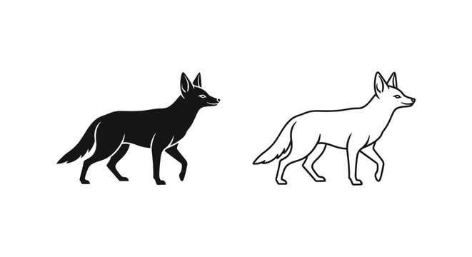 Canis vs Vulpes: Black Fox and Red Fox Comparison Guide Vector