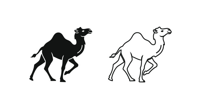 Camel Types: Dromedary vs Bactrian Illustrated Vector