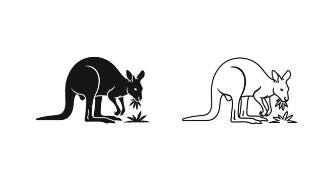 Kangaroo Rat vs Kangaroo: Unique Marsupial Design Vector