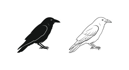 Obraz premium Black and White Crow Birds Illustration Guide Vector