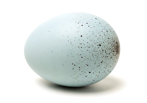 A speckled blue egg with natural markings and subtle texture isolated on white background