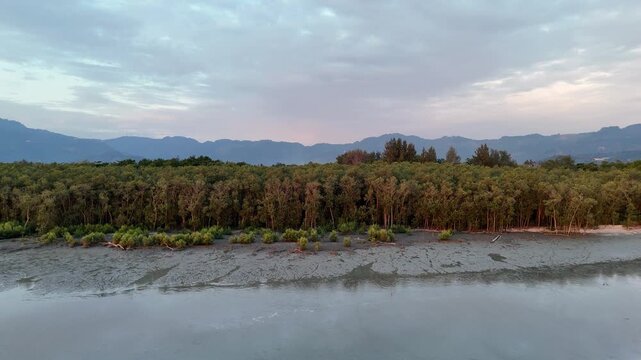 Aerial view highlights mangrove forest canopy from above forming natural buffer zone along coastline.
