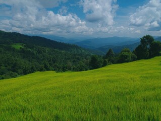 Fototapeta premium 日中の曇り空の下の緑の野原と山々