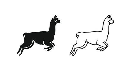 Fototapeta premium Llama vs Alpaca: Unique Camelid Comparison Guide Vector