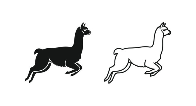 Llama vs Alpaca: Unique Camelid Comparison Guide Vector