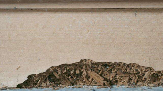 Water Damaged Chipboard Kitchen Cabinet Base Swelling and Crumbling Close-Up | Wet MDF Furniture Decay at Floor Level | Time to Replace or Renovate Kitchen