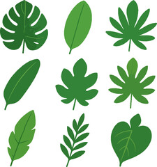 Naklejka premium Collection of various green tropical leaves on white background