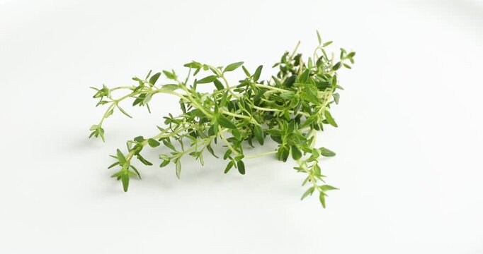 Twigs of fresh aromatic thyme on white background, spinning