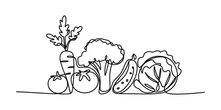 A continuous line drawing illustration of a variety of fresh organic vegetables together side by side Vector, illustration