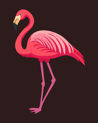 Fototapeta premium pink flamingo standing tall against a dark background with its long neck and legs showing its unique and elegant bird shape