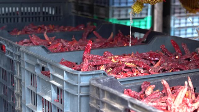 Dried red chili peppers in bulk cases, preparing for food production and ingredient distribution