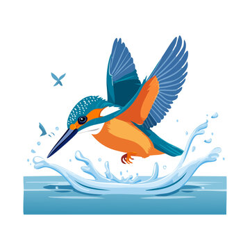 kingfisher bird flying over water for coastal nature guides and lakeside travel brochures and wildlife sanctuary marketing materials in modern flat vector art style