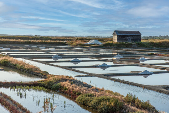 Ancienne salorge au pied des marais salants &ndash; Tas de sel et bassins d&rsquo;&eacute;vaporation