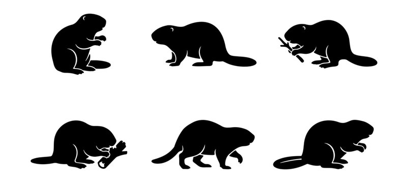 Silhouette beaver vector art illustration for design projects and creative artwork and graphics
