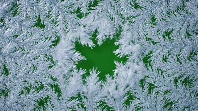 Icicle frost snowflake crystal pattern abstract winter texture nature green background forming delicate winter background green backdrop snow branch frosty leaf holiday frame festive border seasonal