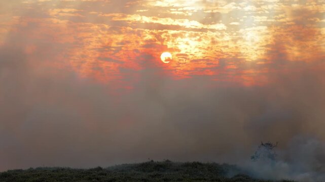 Wildfire smoke pollution obscuring the sun at sunset