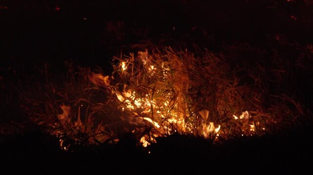 Wildfire burning dry grass at night