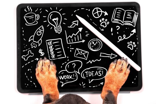 Dachshund paws touching a tablet screen filled with hand drawn business icons on a dark background creating a humorous digital strategy and online work concept