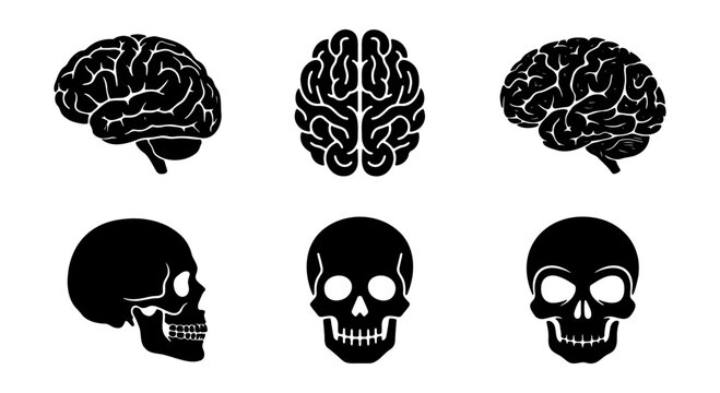 Human brain and skull icons set, anatomical head and mind vector illustrations, black silhouette medical symbols for science and education