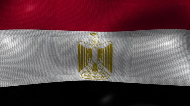 Egypt Egyptian Flag Textured Background Waving