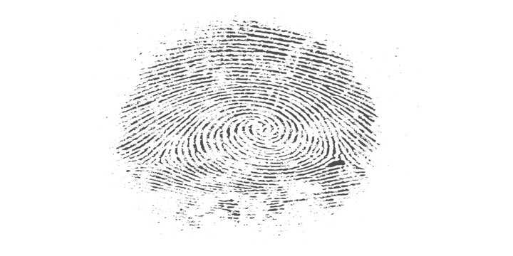 Abstract grunge realistic human fingerprints side by side, black ink fingerprint marks on white background, forensic identification style, detailed ridge texture, minimal clean design.
