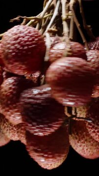 Vertical video. Hand Holding Cluster of Ripe Lychees Under Harsh Lighting Against a Black Background with Strong Contrast and Visible Shadows in Static Studio Setup