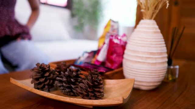 Pinecones and Home Decor on Coffee Table with People in Background