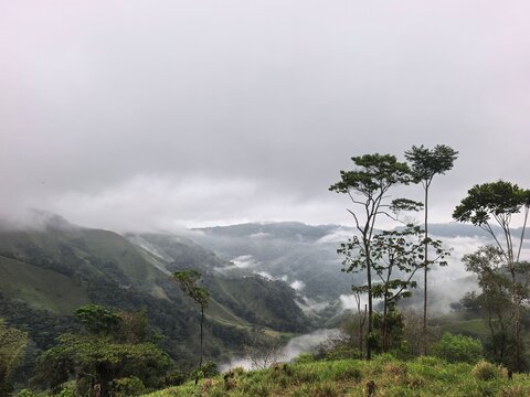 Neblina en la monta&ntilde;a 
