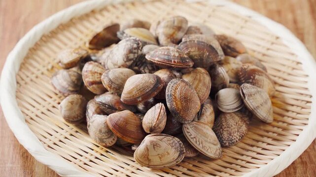 生あさり 竹ざるに盛った旬の貝の食材