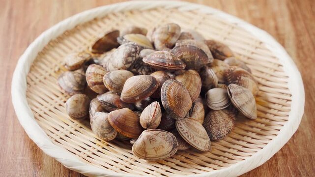 生あさり 竹ざるに盛った旬の貝の食材