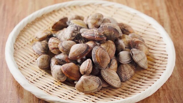 生あさり 竹ざるに盛った旬の貝の食材